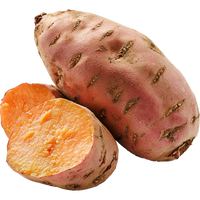 Boniato